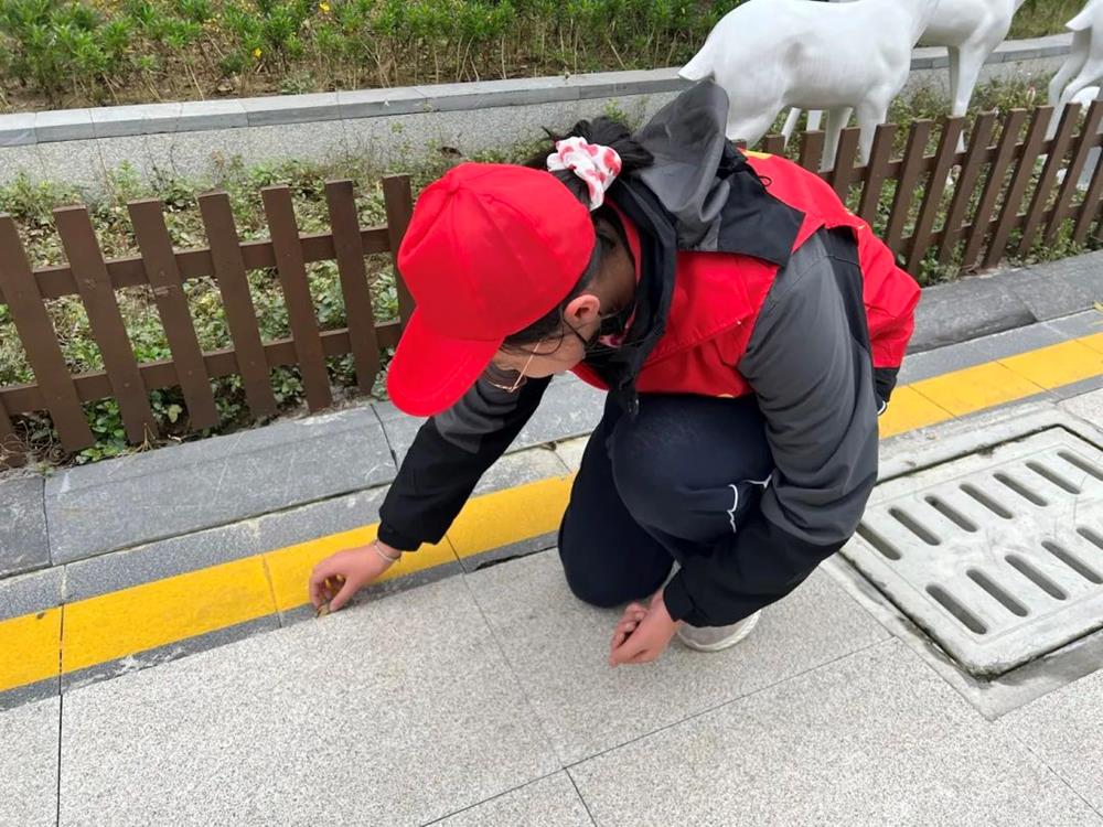 cfae2a4977464fbf819134f0d06b1faf.jpg cfae2a4977464fbf819134f0d06b1faf.jpg