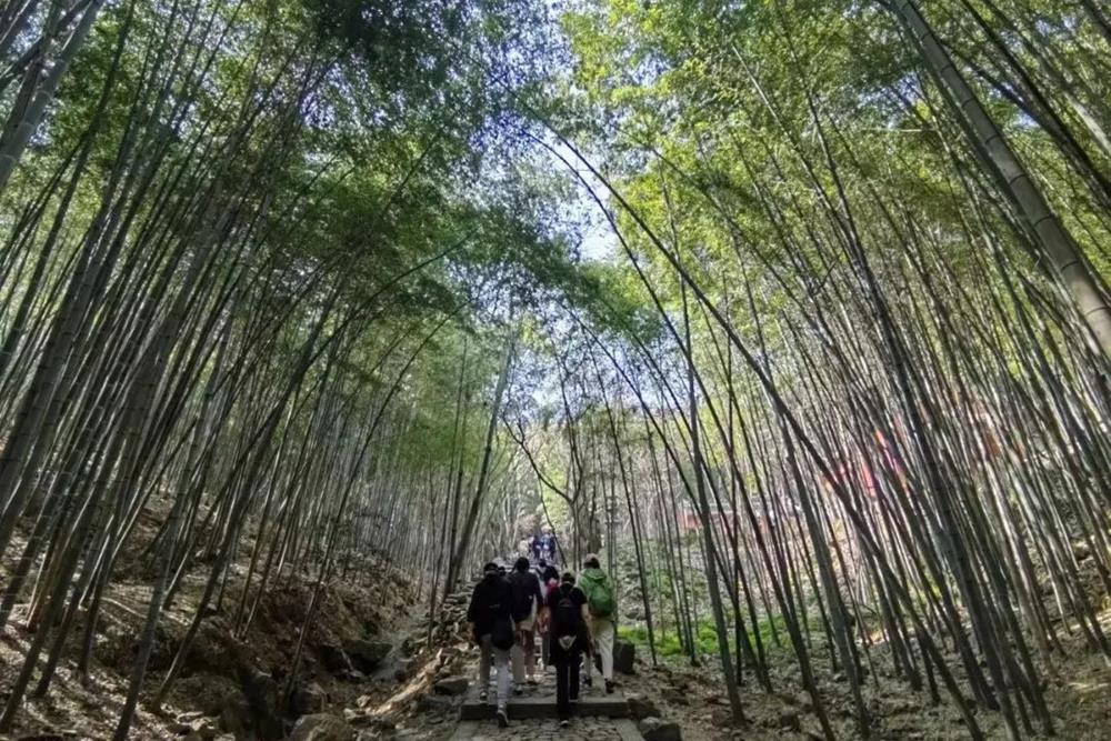 0f405bec906a45ff89a69bebb61c6399.jpg 0f405bec906a45ff89a69bebb61c6399.jpg