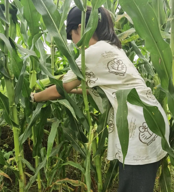 5ea370470e8b457290f74f3ee0cc067e.png 5ea370470e8b457290f74f3ee0cc067e.png