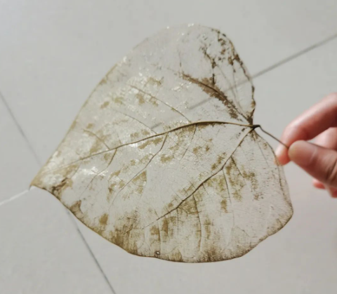 7b4f30e7488c42eeb8ff3a3fad9bacf9.png 7b4f30e7488c42eeb8ff3a3fad9bacf9.png