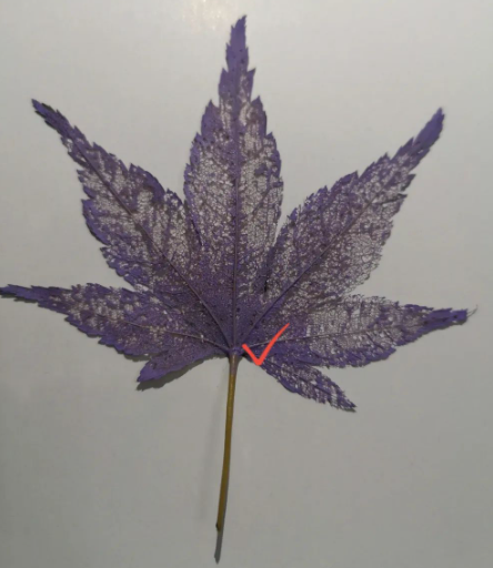 f995ef53a94940e68506d849d6a9888d.png f995ef53a94940e68506d849d6a9888d.png