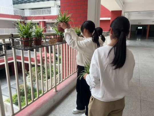 a82f806470b14619a835f302f9906320.png a82f806470b14619a835f302f9906320.png