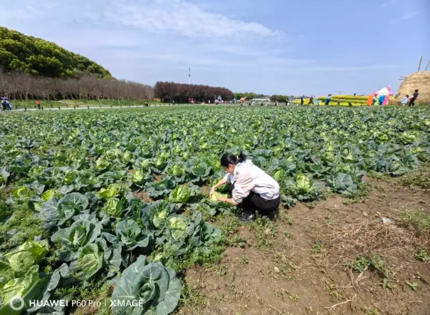 18e20a5198a5490fb7cf1729ecd0037b.png 18e20a5198a5490fb7cf1729ecd0037b.png