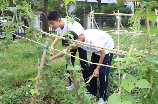 7bb42d3d4e254dd2899d28a35553ae74.png 7bb42d3d4e254dd2899d28a35553ae74.png