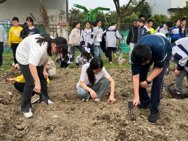 950eb2ba3c0b4dc7b8fa6ae17333dfa8.png 950eb2ba3c0b4dc7b8fa6ae17333dfa8.png