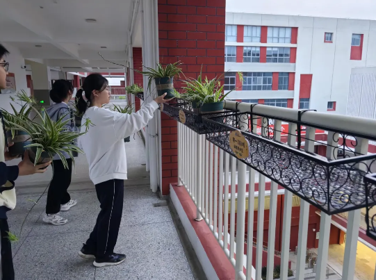 ed8e15aba79542be9d1b4dbcee477fcc.png ed8e15aba79542be9d1b4dbcee477fcc.png