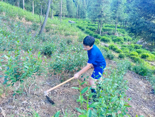 6d3f8b65010441559d38cd119131522f.png 6d3f8b65010441559d38cd119131522f.png